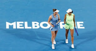 丢冠后再遭重创！曝河南队外援或遭足协处罚，韩国主裁判成导火索